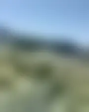 Foto von reynacc123