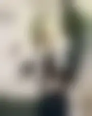 Foto di babydoll