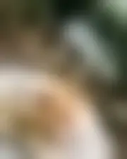 Foto di anlphegias95439