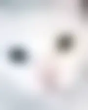 Foto di reliel99499