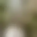 Discutere con angelo318