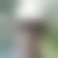 Discutir com bargial89732