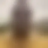 Chat with black29122025