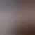 Profil av damingo