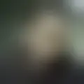 Chat with  diego294