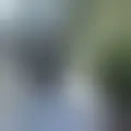 Reden mit doucetentation91