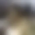 Chat med  femme-sincere059