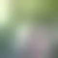Reden mit frederic5247