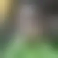 Chat with  israelbatistaa