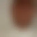Chat with  kingcock