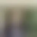 Discutere con lauhasaiah25398