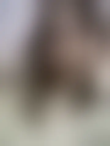 Rencontrer leen2094 et des femmes célibataires vers lucerne Chatter avec leen2094 et des femmes célibataires vers lucerne