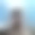 Chat with  lion596