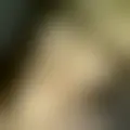 Chatten met  marie-sophie_19