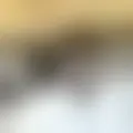 Chat med  motoqueiro2588