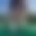 Discutir com nalphes87688
