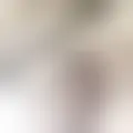 Chatten met  olivier-2525