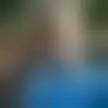 Chat with  paheuaiah73402