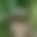Chat with  pohasiel11939