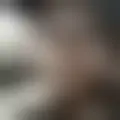 Chat with vassagius4552