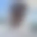 Chat med  vedael12011