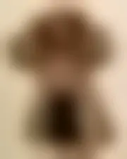 Photo of nalphes38052
