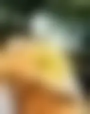 Foto di lachance2021