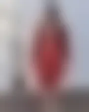 Photo of alea23343402