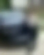 Photo of frsmchll12
