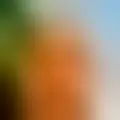 Discutir com abadres70374