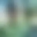 Chat with  adrian285