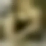 Discuter avec agathedisdonc