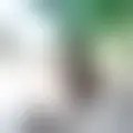 Discutere con angedamourdu24