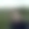 Reden mit anlphegias29566