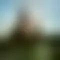 Chat with  aral14548