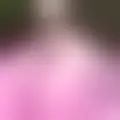 Chatten mit  ariane12a