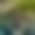 Diskuter med chafik97