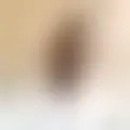 Chatten mit  david450