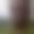 Chat with  deaf068