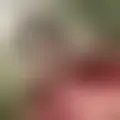 Discutir com ebbebebbe10