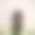 Reden mit etophil0012