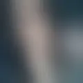 Reden mit florancet545