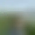 Chat with  jogos77