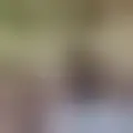 Chat with  josepadillacatala
