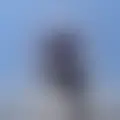 Reden mit mohamed826