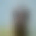 Chat with  pauzudo41579
