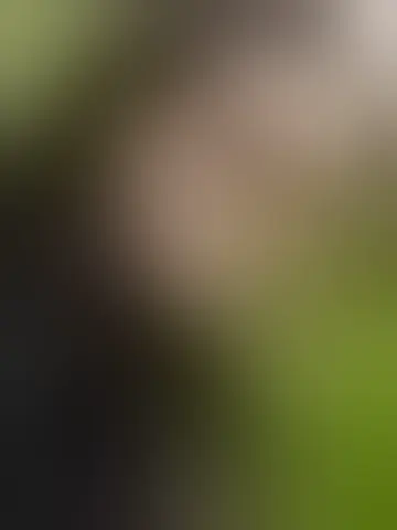 Chat with reliel46053 and singles women in battin