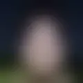 Chat with  ricardo639