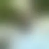 Chat with sevinbandz007 and singles near Stockton